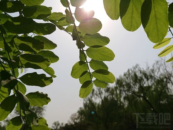 索尼Xperia XZs怎么样？值得买吗？