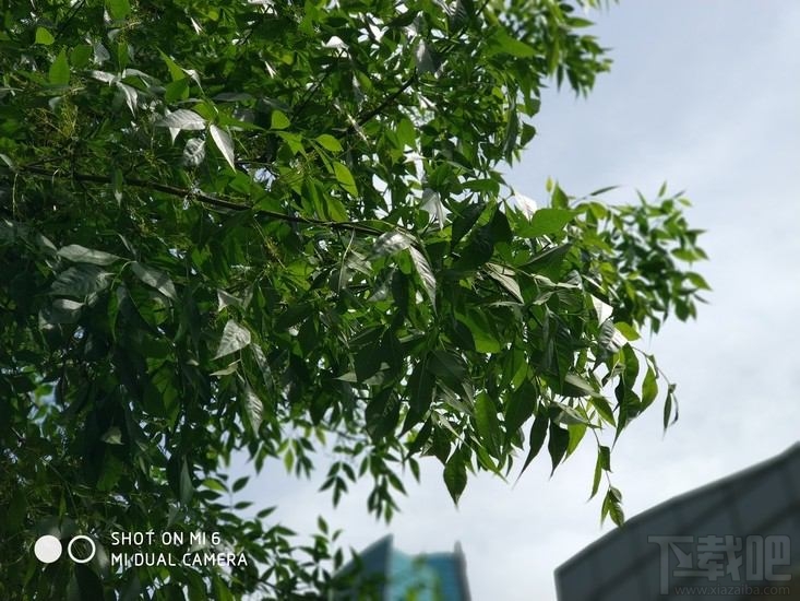 小米6拍照怎么样？小米6拍照体验
