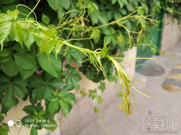 小米6尊享版配置怎么样？小米6尊享版优缺点介绍