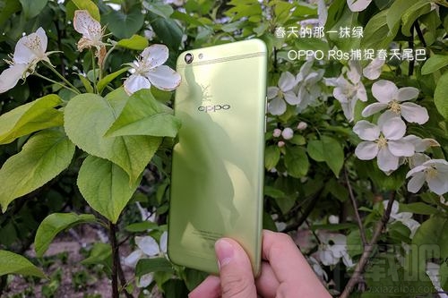 OPPOR9s清新绿多少钱？OPPOR9s清新绿什么时候上市？
