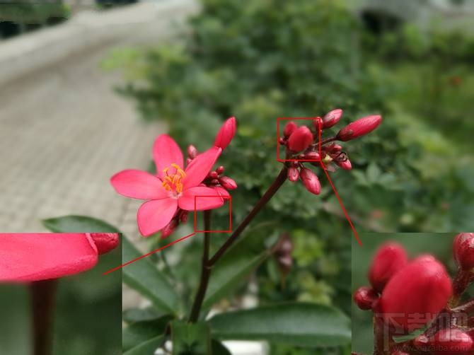 努比亚Z17mini值得买吗?努比亚Z17mini优缺点介绍