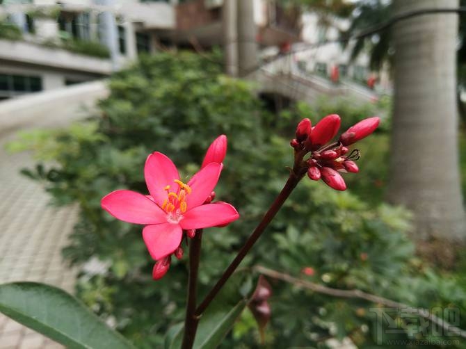 努比亚Z17mini值得买吗?努比亚Z17mini优缺点介绍