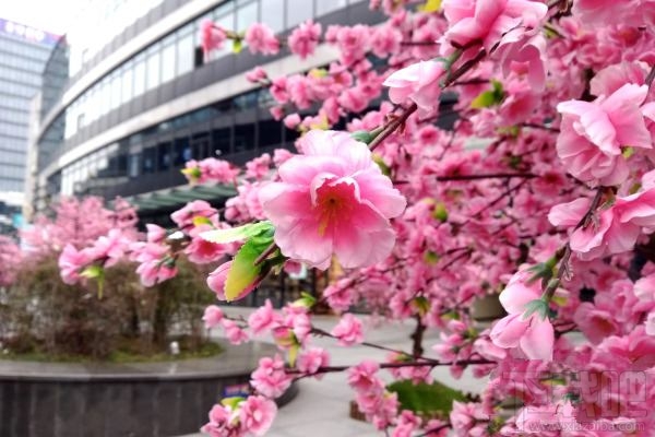 海信A2手机值不值得买?海信双屏手机A2优缺点评测