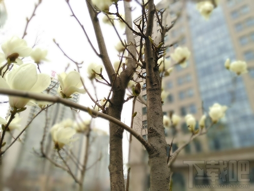 中兴V8怎么样?中兴BladeV8手机可以吗?