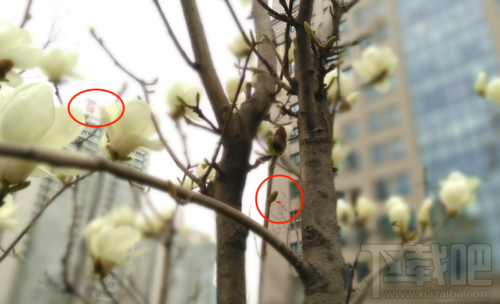 中兴V8怎么样?中兴BladeV8手机可以吗?