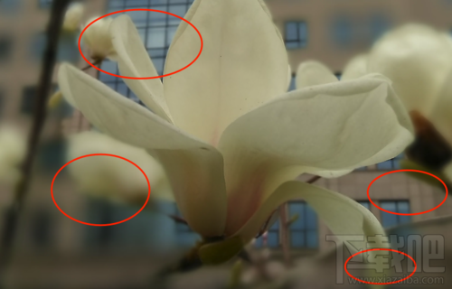 中兴V8怎么样?中兴BladeV8手机可以吗?