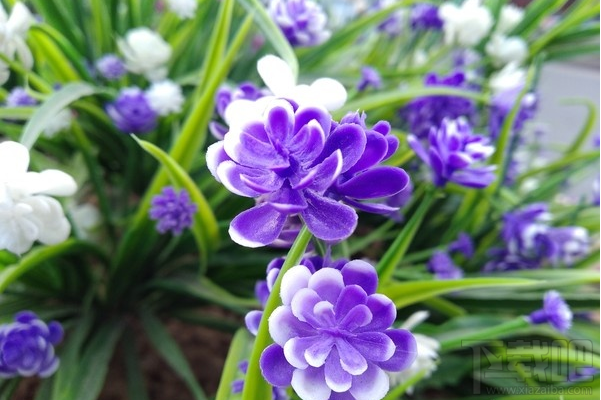 海信A2怎么样？海信A2优缺点全面解析