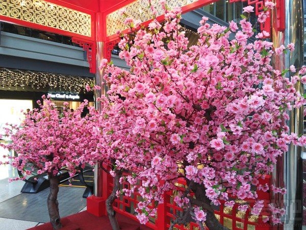 诺基亚6性价比怎么样？诺基亚6上手体验优缺点分析