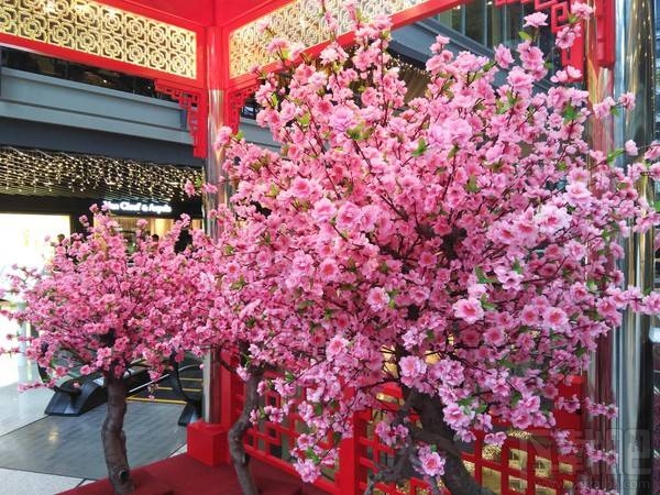 诺基亚6好不好？值不值得买？