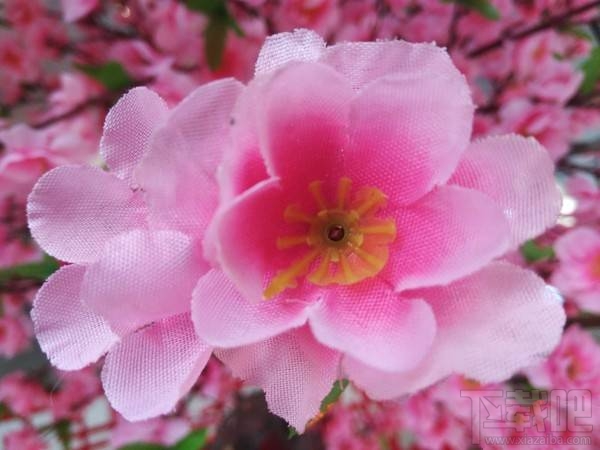 诺基亚6好不好？值不值得买？