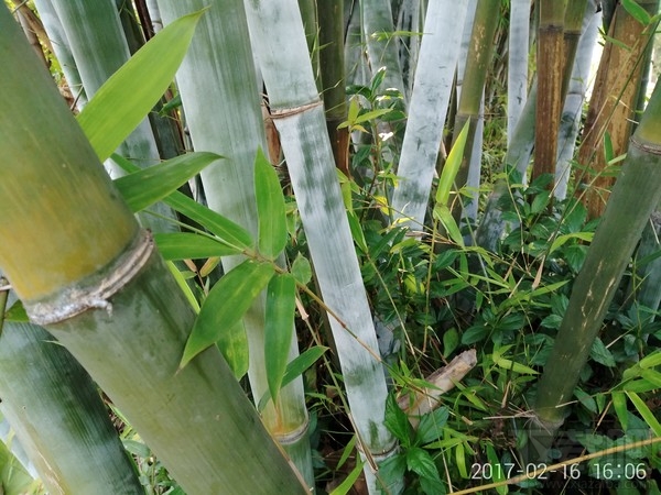 360手机N5好不好用?360手机N5最全面体验评测详情