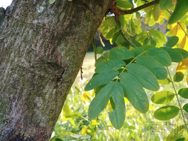 360手机N5好不好用?360手机N5最全面体验评测详情