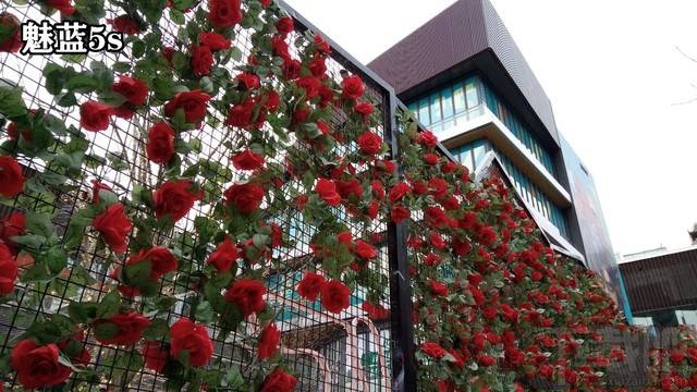 魅蓝5s和魅蓝5哪个拍照好？魅蓝5s与魅蓝5拍照样张对比