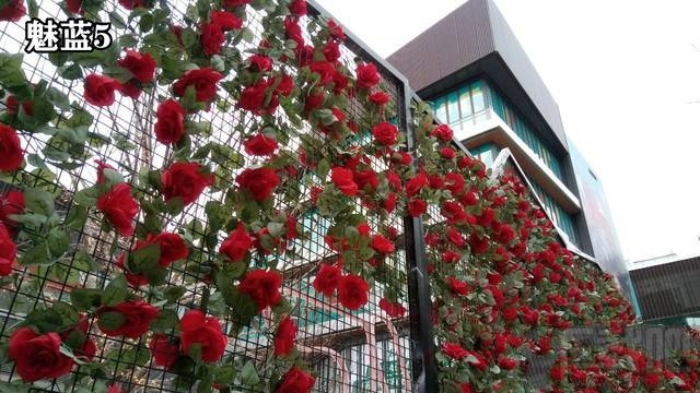 魅蓝5s和魅蓝5哪个拍照好？魅蓝5s与魅蓝5拍照样张对比