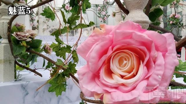 魅蓝5s和魅蓝5哪个拍照好？魅蓝5s与魅蓝5拍照样张对比