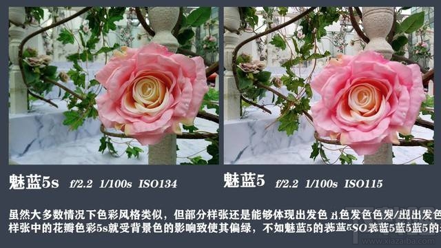 魅蓝5s和魅蓝5哪个拍照好？魅蓝5s与魅蓝5拍照样张对比