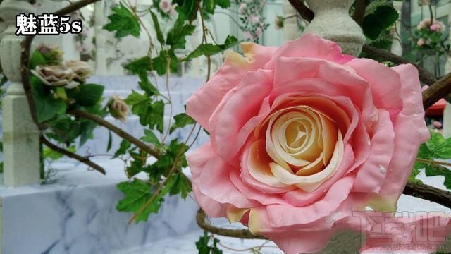 魅蓝5s和魅蓝5哪个拍照好？魅蓝5s与魅蓝5拍照样张对比
