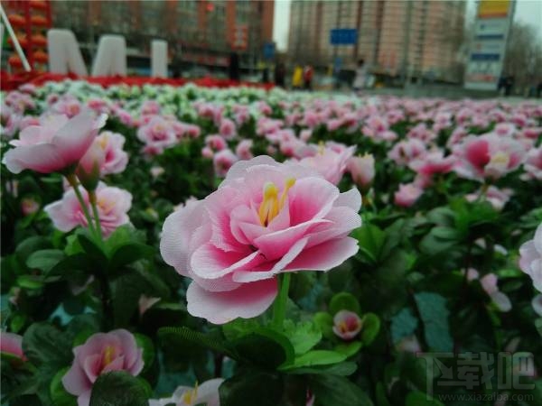 魅蓝5s值不值得买?魅蓝5s有什么优缺点?