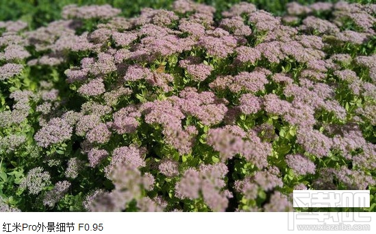 红米note4和红米pro哪个好？红米note4与红米pro区别对比