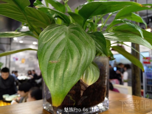 魅族Pro6s和iPhone7拍照对比