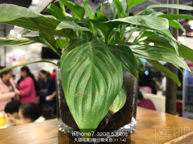 魅族Pro6s和iPhone7拍照对比