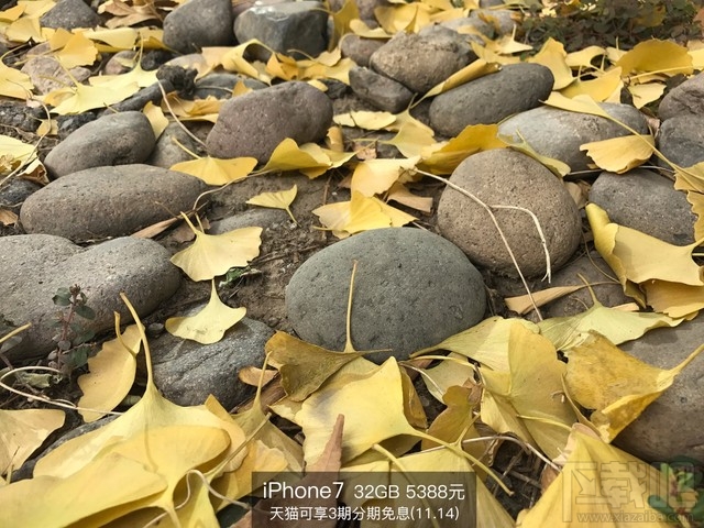 魅族Pro6s和iPhone7拍照对比