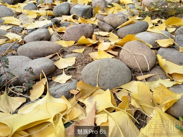 魅族Pro6s和iPhone7拍照对比