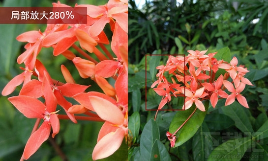 努比亚minis怎么样 努比亚minis照相性能如何