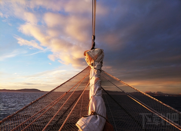 小米5s配置怎么样 小米5s/5s plus价格介绍