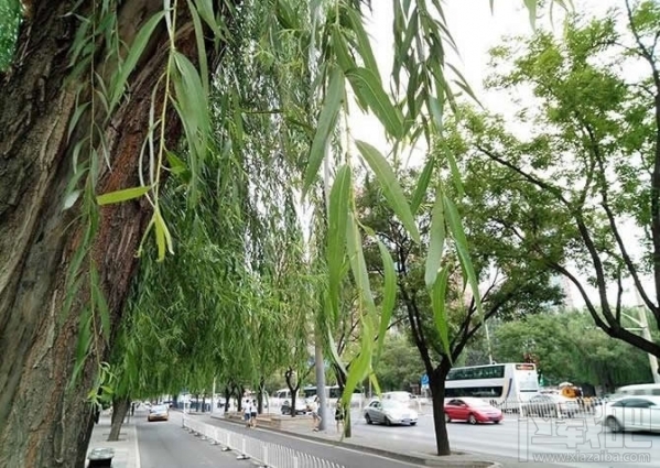 魅蓝max怎么样？魅蓝max好不好？魅蓝max图文评测