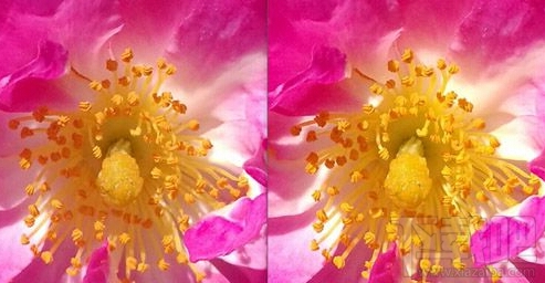 华为P9和荣耀V8拍照效果哪个好 华为P9和荣耀V8拍照全面对比