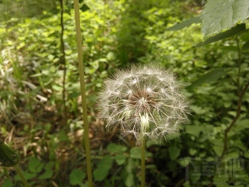 红米Note3和魅蓝Note3哪个好 红米Note3和魅蓝Note3详细图文对比