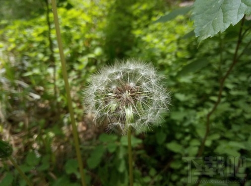 红米Note3和魅蓝Note3哪个好 红米Note3和魅蓝Note3详细图文对比