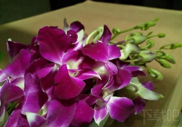 三星Galaxy C5怎么样 三星C5好不好 三星Galaxy C5图文评测