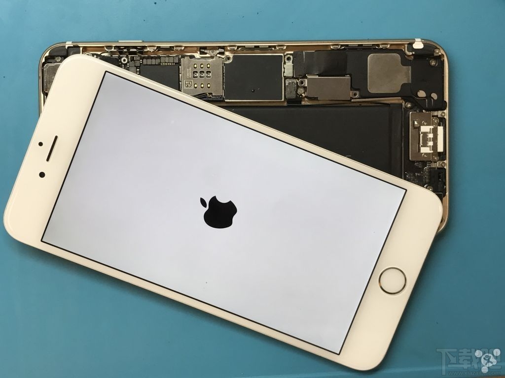 iPhone 6 Plus花屏是怎么回事？iPhone 6 Plus wifi打不开怎么办？