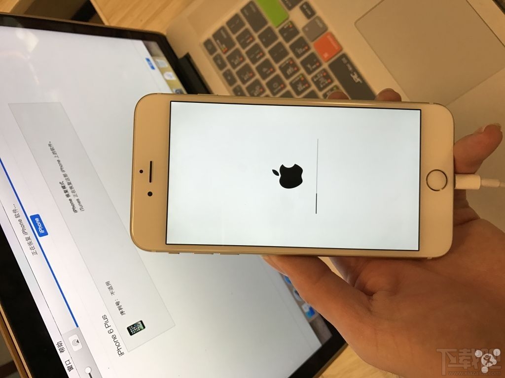iPhone 6 Plus花屏是怎么回事？iPhone 6 Plus wifi打不开怎么办？