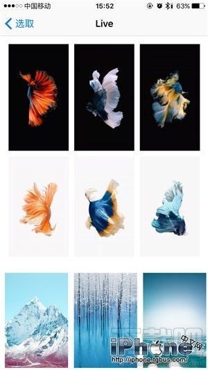 iPhone6s动态壁纸动不了该怎么办?IOS10动态壁纸动不了咋办