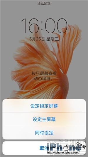 iPhone6s动态壁纸动不了该怎么办?IOS10动态壁纸动不了咋办