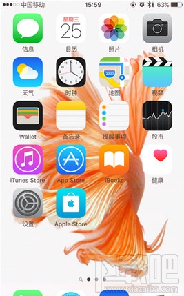 iphone动态壁纸动不了了怎么办 苹果手机动态壁纸效果没了怎么办