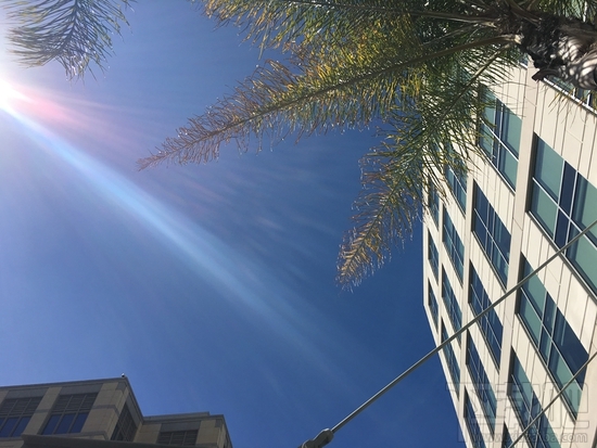 iPhone SE与iPhone6s拍照水平那个更好? iPhone SE与iPhone6s拍照对比