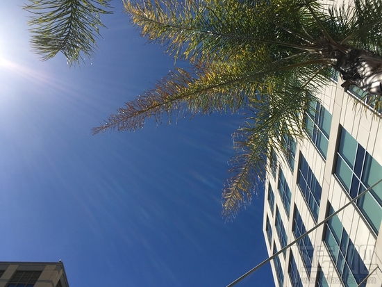 iPhone SE与iPhone6s拍照水平那个更好? iPhone SE与iPhone6s拍照对比