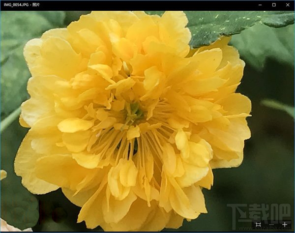 如何让电脑正确显示苹果iPhone7拍摄的照片?电脑正确显示苹果iPhone7拍摄的照片方法