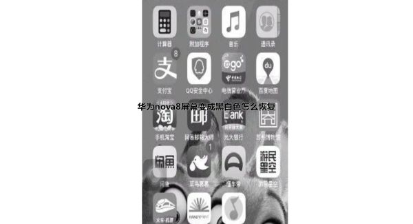 华为nova8屏幕变成黑白色怎么恢复