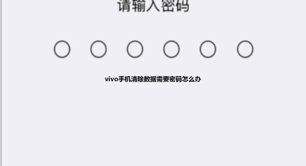 vivo手机清除数据需要密码怎么办
