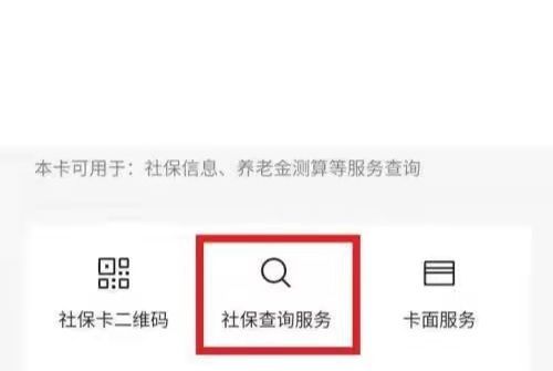 手机怎么查询养老金发放明细