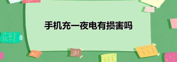 手机充一夜电有损害吗
