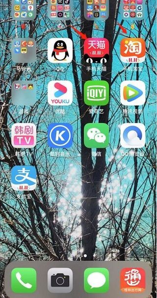 苹果手机复制了淘口令没有弹窗