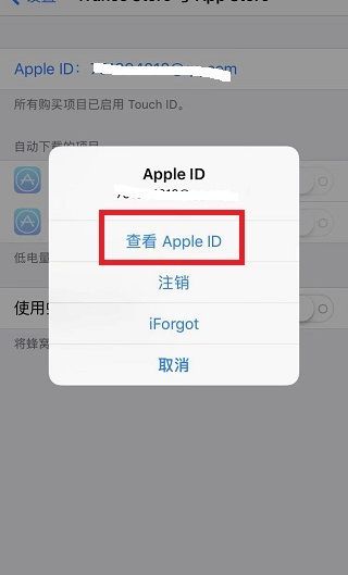 苹果手机应用商店怎么改成中文
