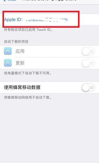 苹果手机应用商店怎么改成中文