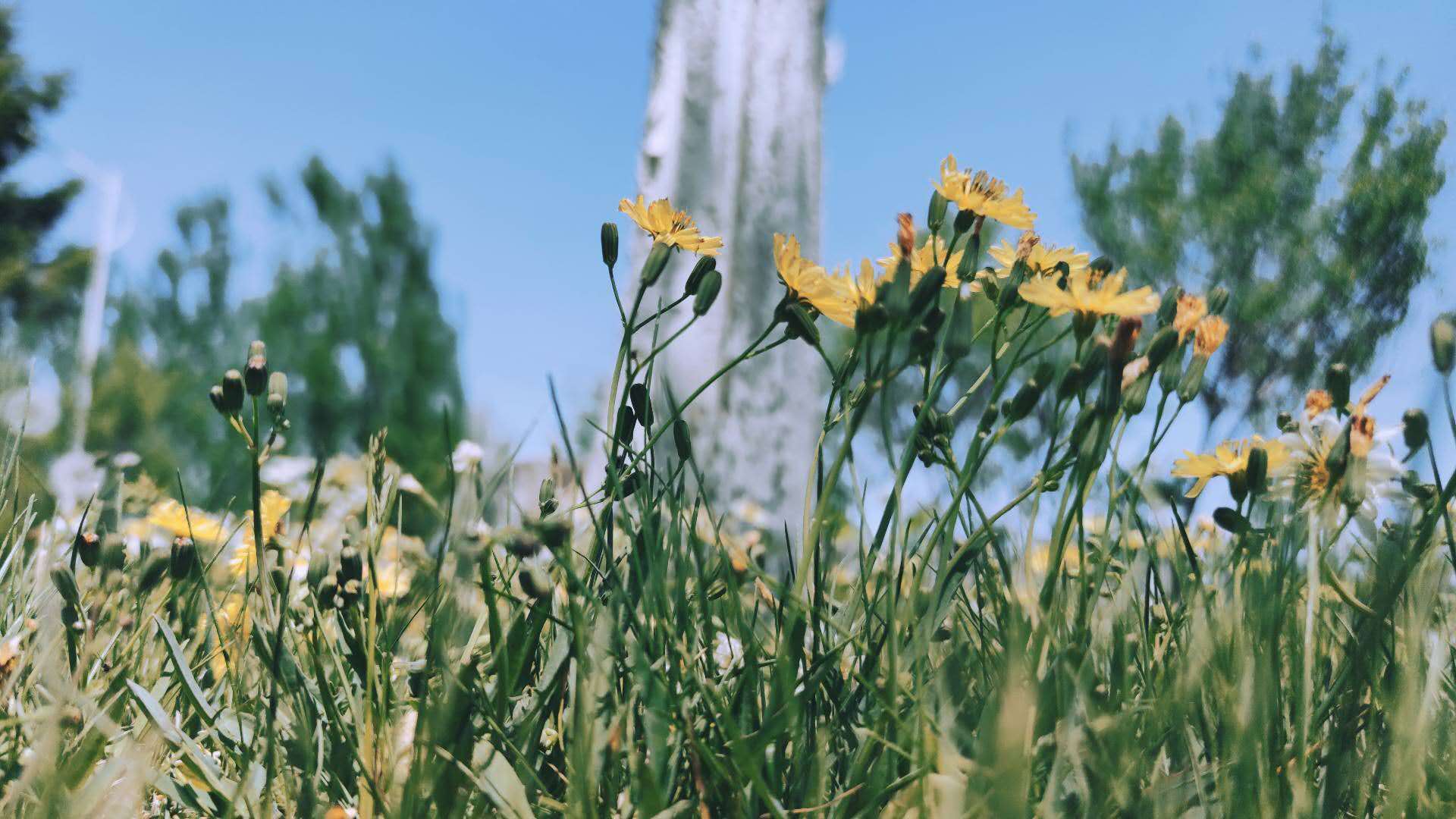 miui12拍照全新体验评测